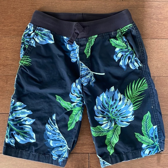 Gymboree Shorts - Picture 1 of 5